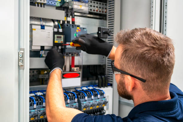 Best Affordable Electrician  in Goodhue, MN