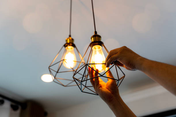Best Outdoor Lighting Installation  in Goodhue, MN